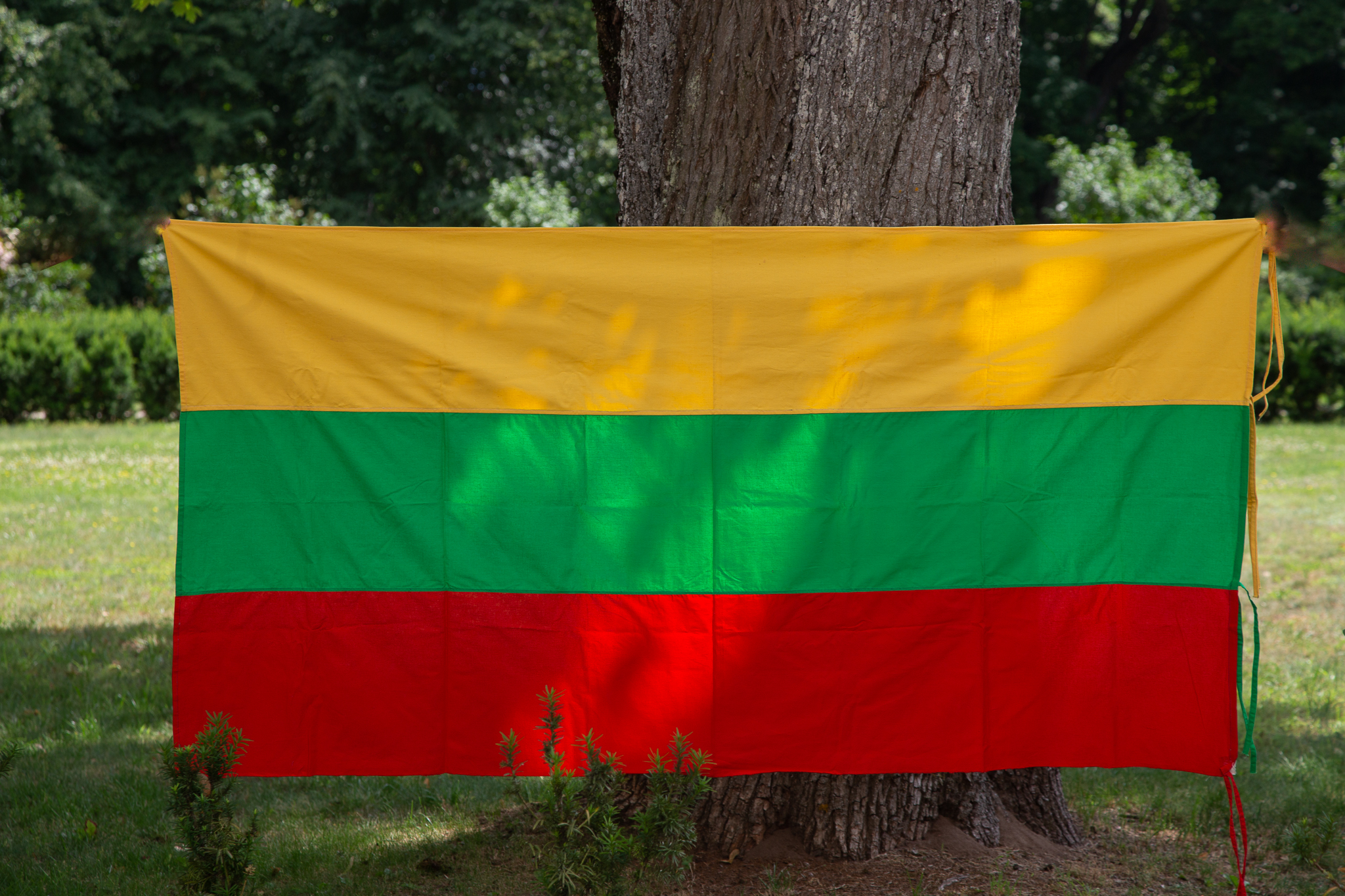Savaitės eksponatas - Lietuvos trispalvė